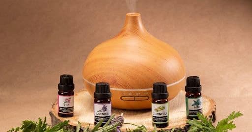 Regeneration als Wettbewerbsfaktor: Warum Aromatherapie im Sportbusiness leiser, aber wirkungsvoller Alltag wird